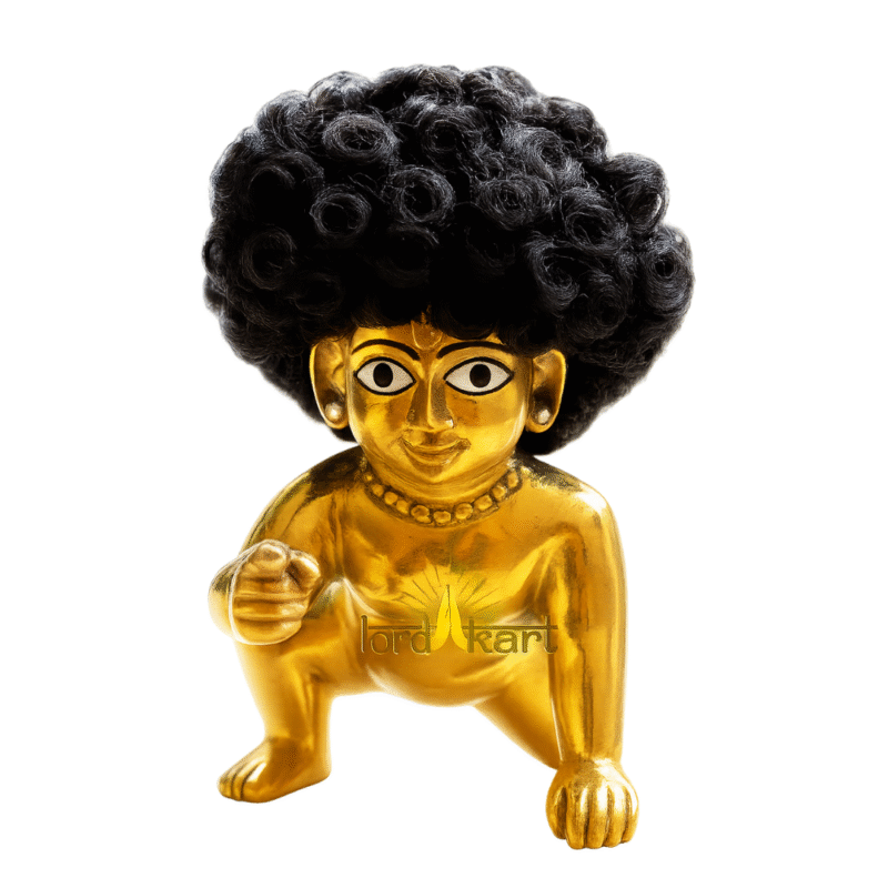 hair for Laddu Gopal